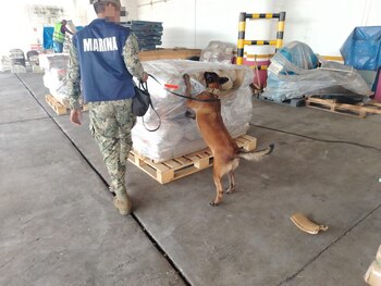 Elementos de seguridad revisaron el