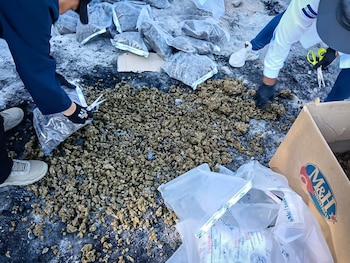 Personal especializado verifica y prepara