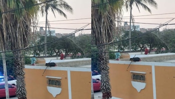 Autoridades activan Alerta Amber tras desaparición de menores en centro de acogida de Trujillo