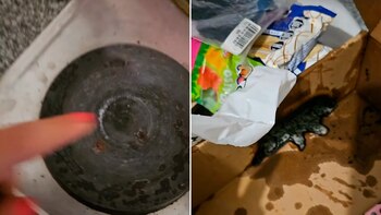 La exparticipante enseñó cómo casi