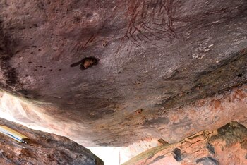 La figura de un canguro