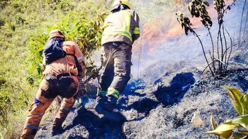 Autoridades en Santander piden al Gobierno nacional apoyo aéreo para combatir el incendio forestal