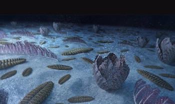 Imagen 7KWWMHVTBJAJRFDNJRLKYM4UTY