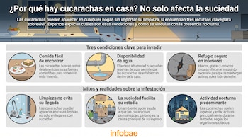 Infografía con ilustraciones de cucarachas, una cocina con comida, un grifo goteando, una pared con grietas, una aspiradora, una cocina sucia y una casa de noche con luna.