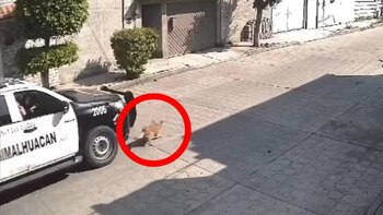 La patrulla municipal 2006 de