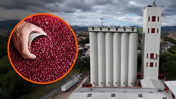 Honduras: Denuncian más de 40 mil quintales de frijol vencidos en bodegas de la reserva estratégica en Danlí