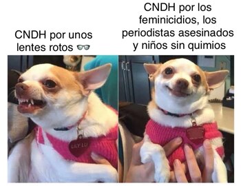 Memes Héctor Suárez Gomís y Vicente Serrano