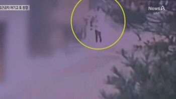 Cámaras de seguridad captaron a