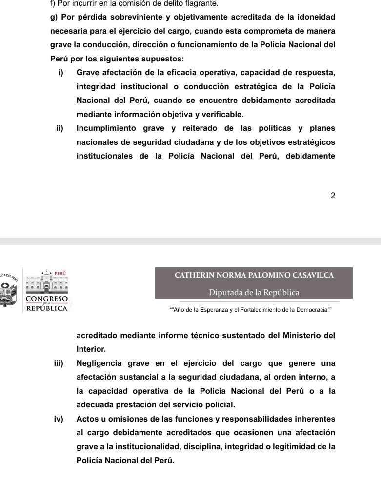 Proyecto de ley de la diputada Catherin Palomino