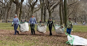 Equipos de voluntarios recolectan hojas y residuos en áreas verdes, contribuyendo a la conservación de parques urbanos y a la mejora de la calidad ambiental en la ciudad.