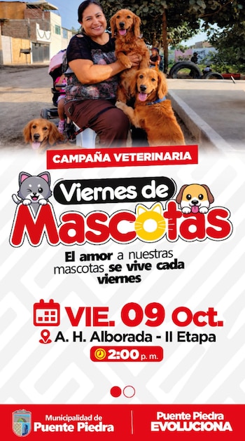 Los propietarios podrán acceder a consulta veterinaria, desparasitación, vacunación antirrábica y tratamiento contra la sarna - Créditos: Municipalidad de Puente Piedra.