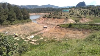 Los negocios de millones de colombianos se verían afectados por el fenómeno de El Niño: dicen por qué que el panorama no pinta bien