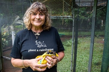 Mujer sonriente con camiseta negra sostiene a un murciélago pequeño envuelto en tela amarilla frente a una estructura de malla metálica
