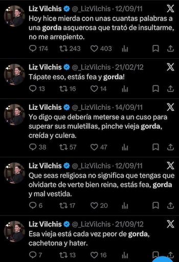 Captura de pantalla de cinco publicaciones de la cuenta de X de Liz Vilchis con fechas de 2011 y 2012