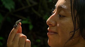 Reproducen y liberan nuevos ejemplares