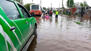 Ya se entregaron 2.140 colchones,