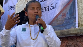 La diputada Irma Juan Carlos