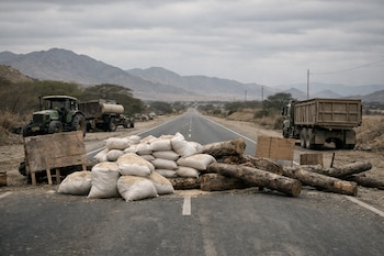 Carretera rural asfaltada bloqueada por montículos de sacos de arroz y troncos grandes. Se observa maquinaria agrícola y un camión detenido a los lados, con montañas áridas al fondo.