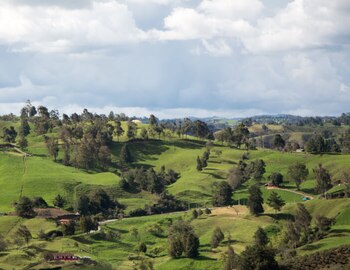 El municipio, que celebra en