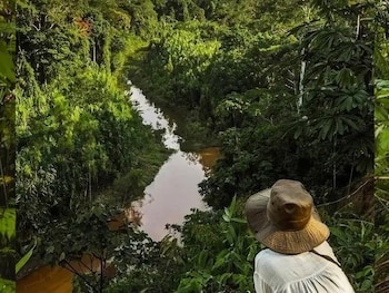 Existe também uma isenção total de imposto sobre o rendimento para quem exerce principalmente atividades agrícolas ou muda de agricultura natural ou outra.