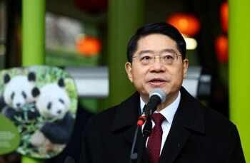 El Gobierno alemán convocó formalmente