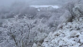 Fuerte nevada en el norte del país en pleno otoño: Salta y Jujuy se tiñeron de blanco