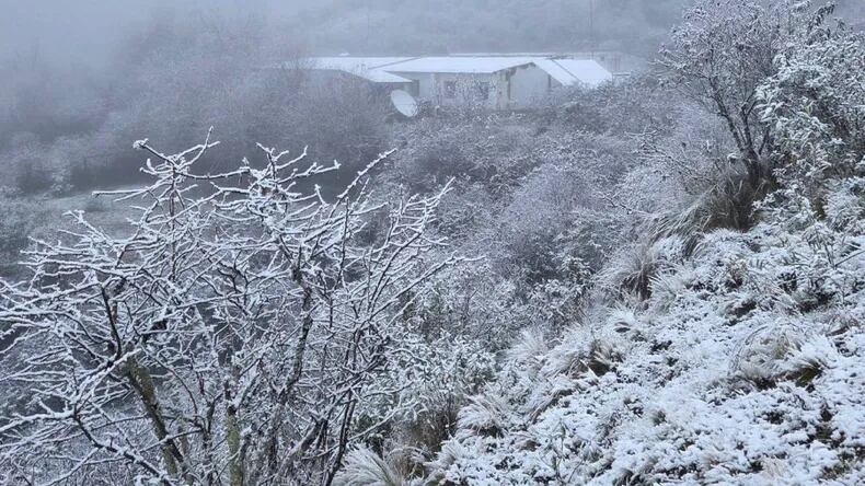 La nieve cubrió la vegetación y el suelo de zonas de altura en Jujuy y Salta este jueves (Foto: Todo Jujuy)