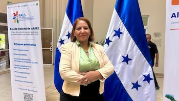 La FAO propone institucionalizar la ración fresca en la alimentación escolar de Honduras con frutas, verduras y otras fuentes de nutrientes.