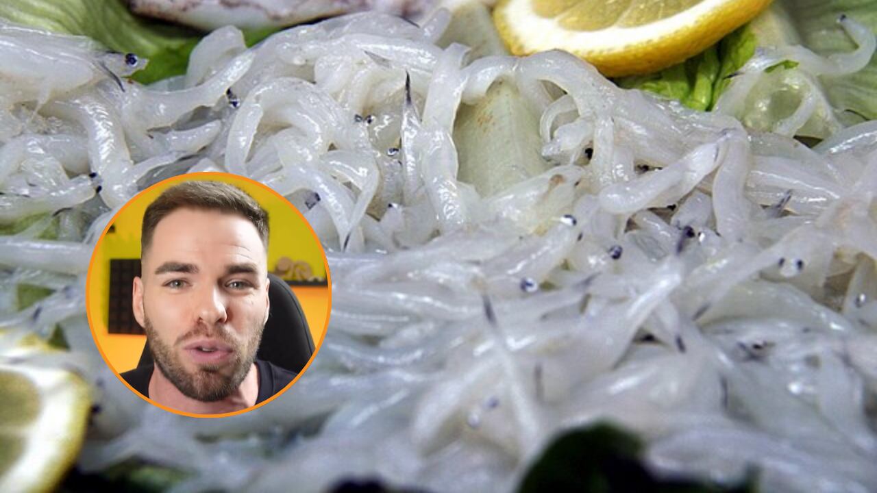 Pese a que es una especie en peligro crítico de extinción, la anguila se comercializa como producto de lujo a través de su cría, la angula. (Montaje Infobae con imágenes de Tamorlan/Wikimedia Commons y @mariodewonder/TikTok)