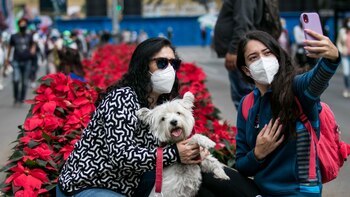 Uno de cada 4 mexicanos