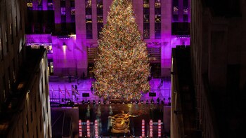 Ya fue elegido el árbol