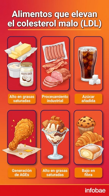 Infografía con título Alimentos que elevan el colesterol malo (LDL), que muestra mantequilla, carne procesada, soda, pollo frito, helado y bollería. Logo Infobae.