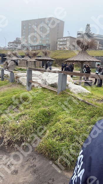 Femicidio Mar del Plata