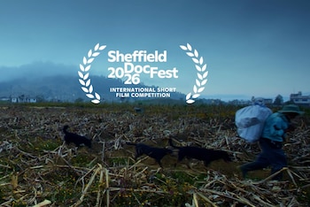 Campo de rastrojos con una persona llevando un bulto y dos perros negros. Se ve un pueblo al fondo. Un logo blanco de Sheffield DocFest 2026 está en el cielo