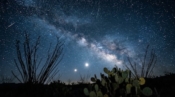 Un cielo nocturno azul profundo muestra la Vía Láctea y estelas de meteoros. En primer plano, siluetas de plantas desérticas y dos astros brillantes.