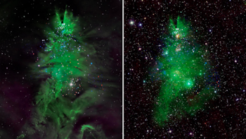 El cúmulo NGC 2264, a