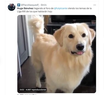 Los mejores memes de Hugo