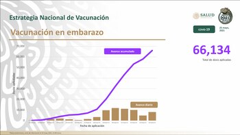 Hugo López-Gatell informó que 66,134