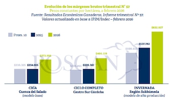 Durante el primer trimestre, los precios de la hacienda en pie mantuvieron una tendencia alcista tanto para cría, como para hacienda destinada a ciclo completo y a invernada (Rosgan)