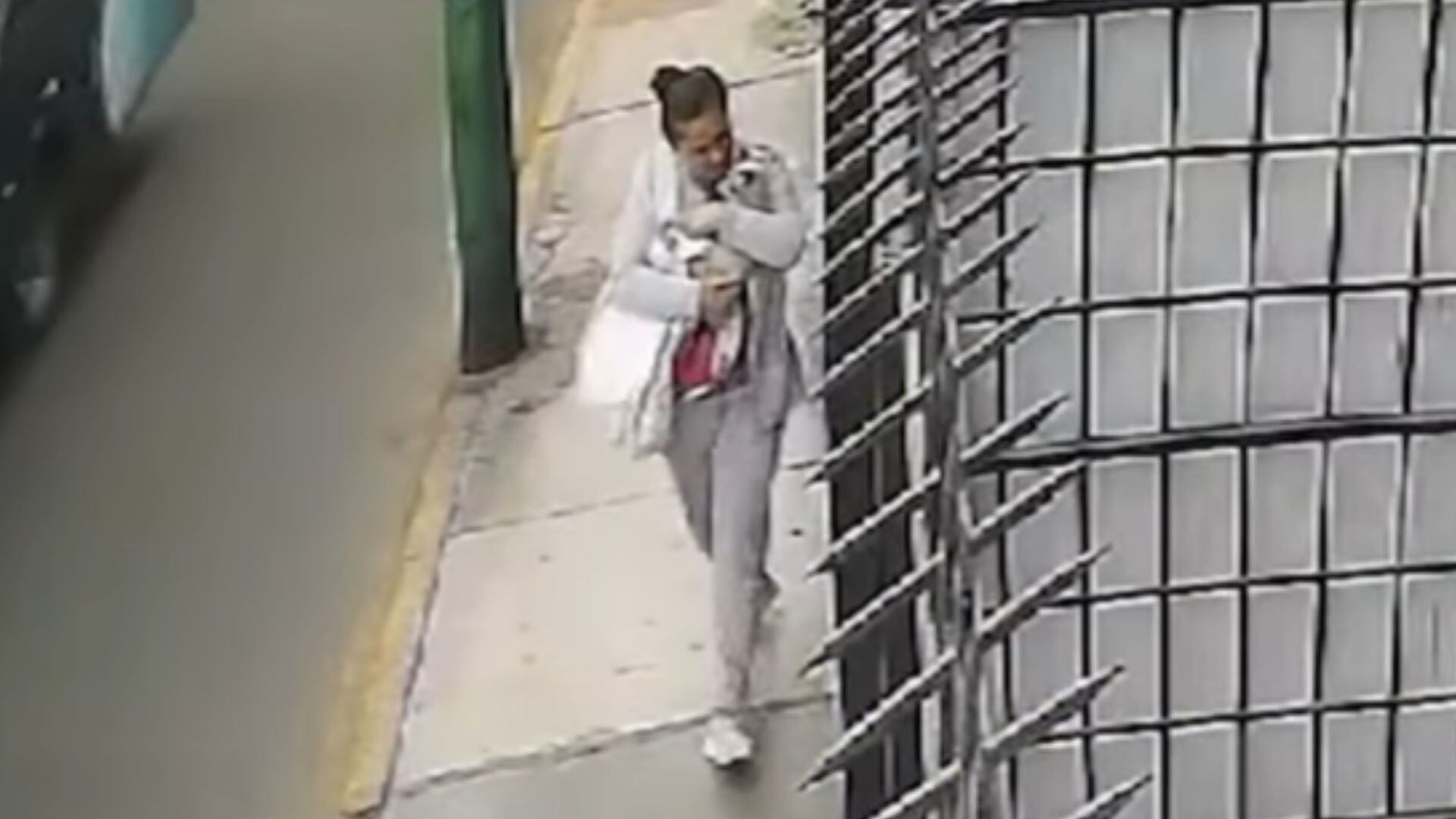 Gato es secuestrado y extorsionadores piden S/5 mil para su liberación - Créditos: Captura de pantalla de Panamericana TV.