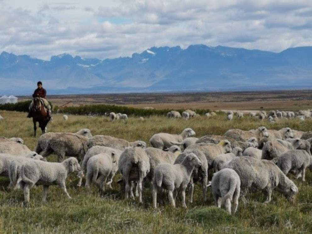 Argentina acelera en el mercado global de carbono y busca atraer divisas