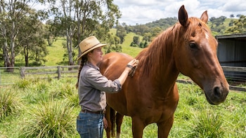 Una granja en Australia ofrece alojamiento y comida gratis a cambio de cuidar caballos en 2027