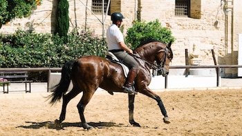 500.000 euros por un caballo: el mercado español equino alcanza un valor de miles de millones y se extiende por más de 70 países