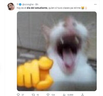 Los mejores memes que dejó