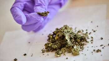 El desarrollo de polímeros conjugados