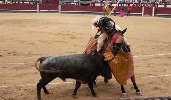 Día Mundial Antitaurino – movimiento antitauromaquia - Perú – noticias – 25 junio