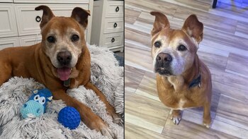 Con 13 años de edad.