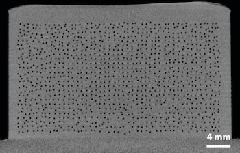 Imagen de microtomografía computarizada de