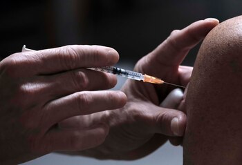 Los científicos aseguraron que la