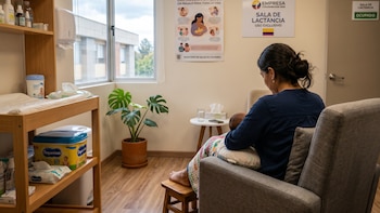 Las empresas que ya cuentan con estos espacios tendrán un plazo de tres meses para ajustarse a los nuevos requisitos técnicos- crédito VisualesIA